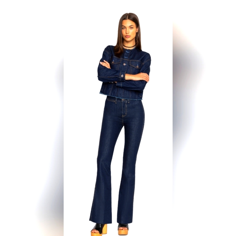 JOHNNY WAS RUE DE LA FLARE JEAN NWT Sz 26